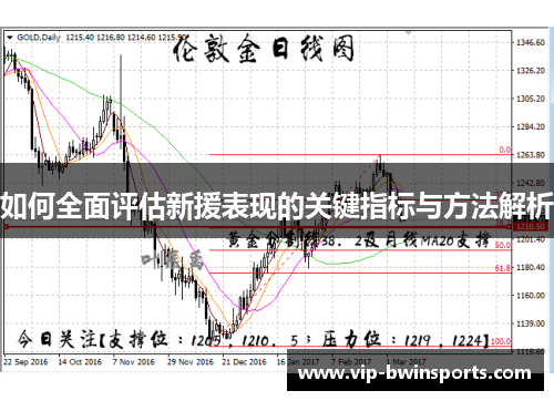 如何全面评估新援表现的关键指标与方法解析