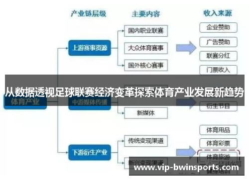 从数据透视足球联赛经济变革探索体育产业发展新趋势
