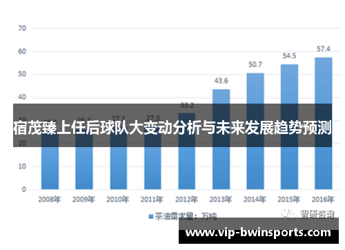 宿茂臻上任后球队大变动分析与未来发展趋势预测