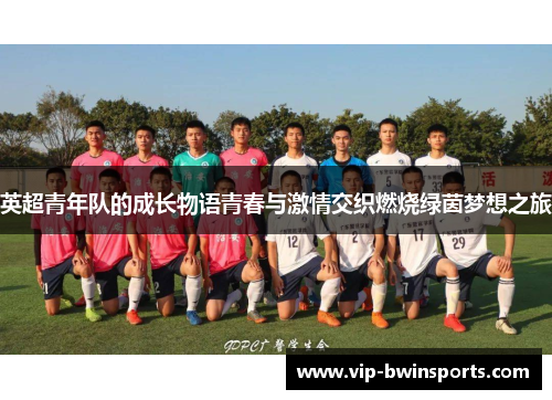 英超青年队的成长物语青春与激情交织燃烧绿茵梦想之旅